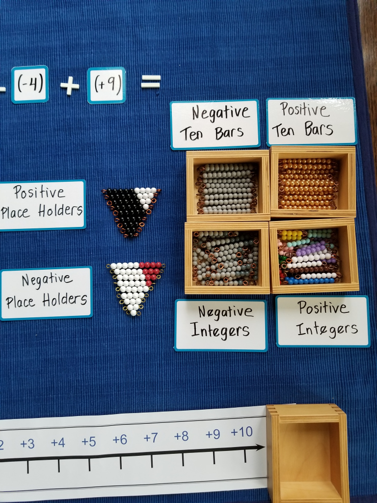 Elementary Negative Snake Game