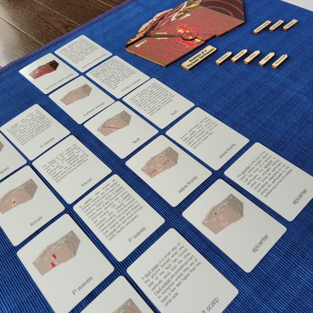 Anatomy of a Tectonic Earthquake: Three Part Cards