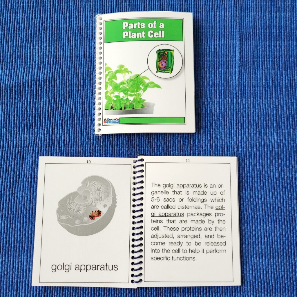 Parts of a Plant Cell Control Booklet