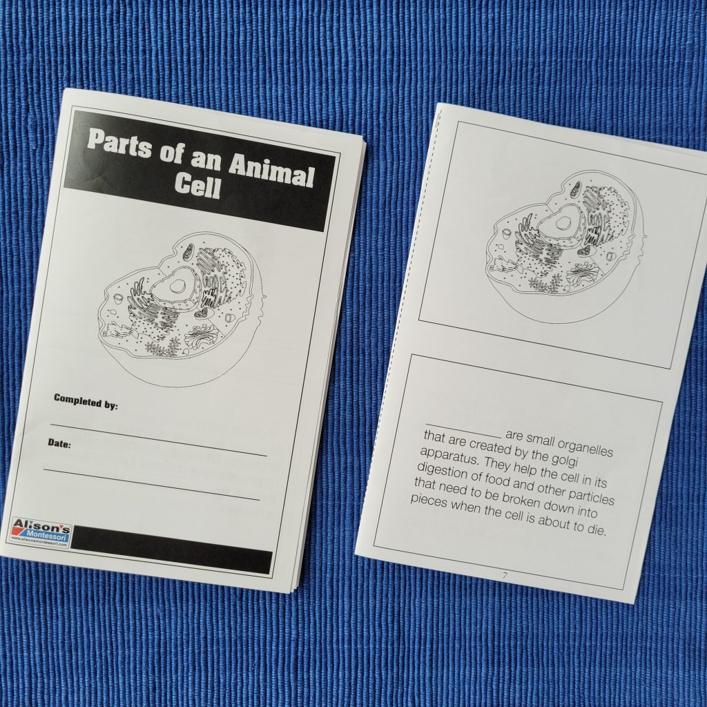 Parts of an Animal Cell Black-line Booklet