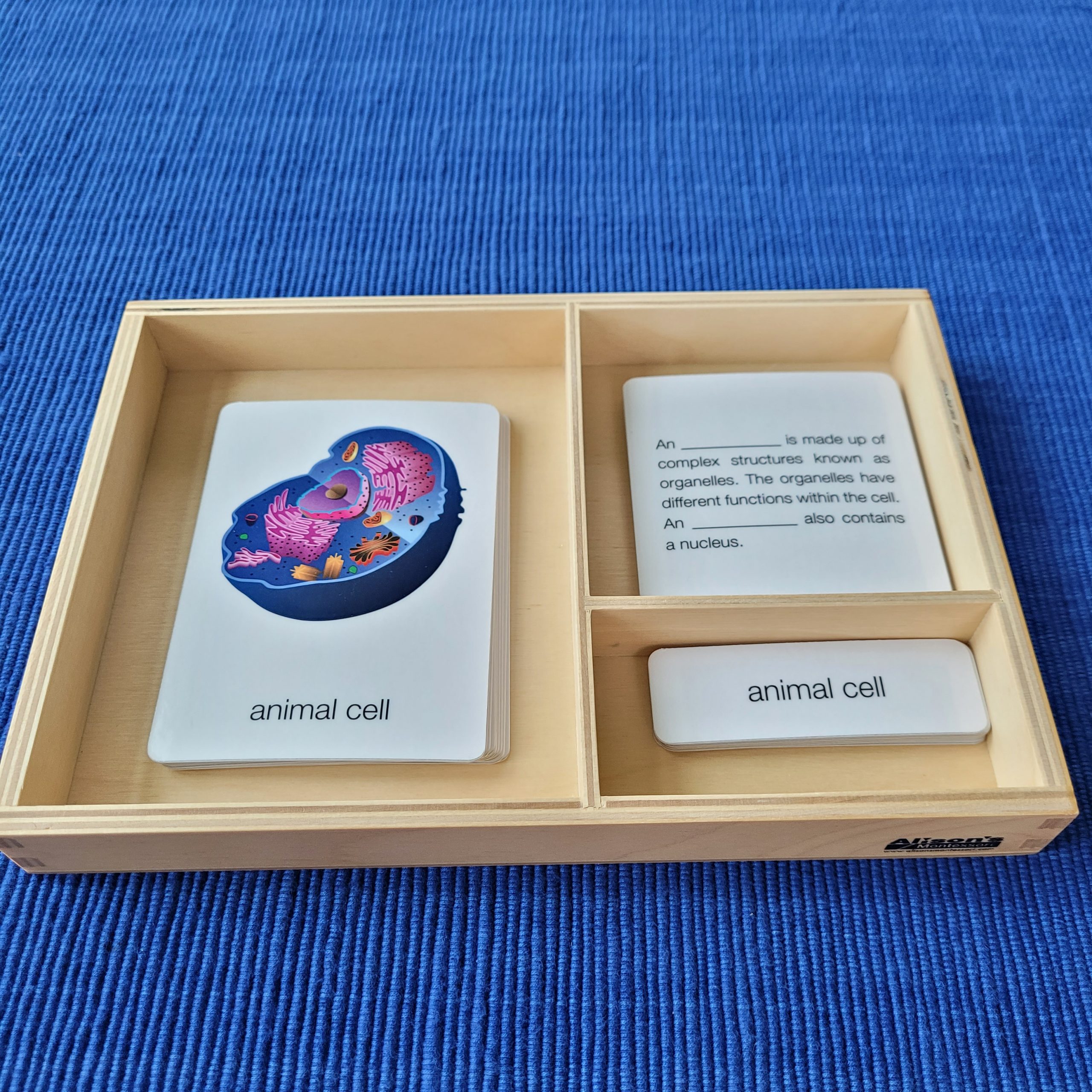 Parts of a Plant Cell & Parts of an Animal Cell