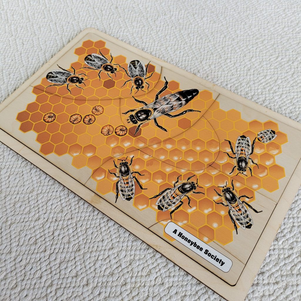 A Honeybee Society 3-6, 6-9