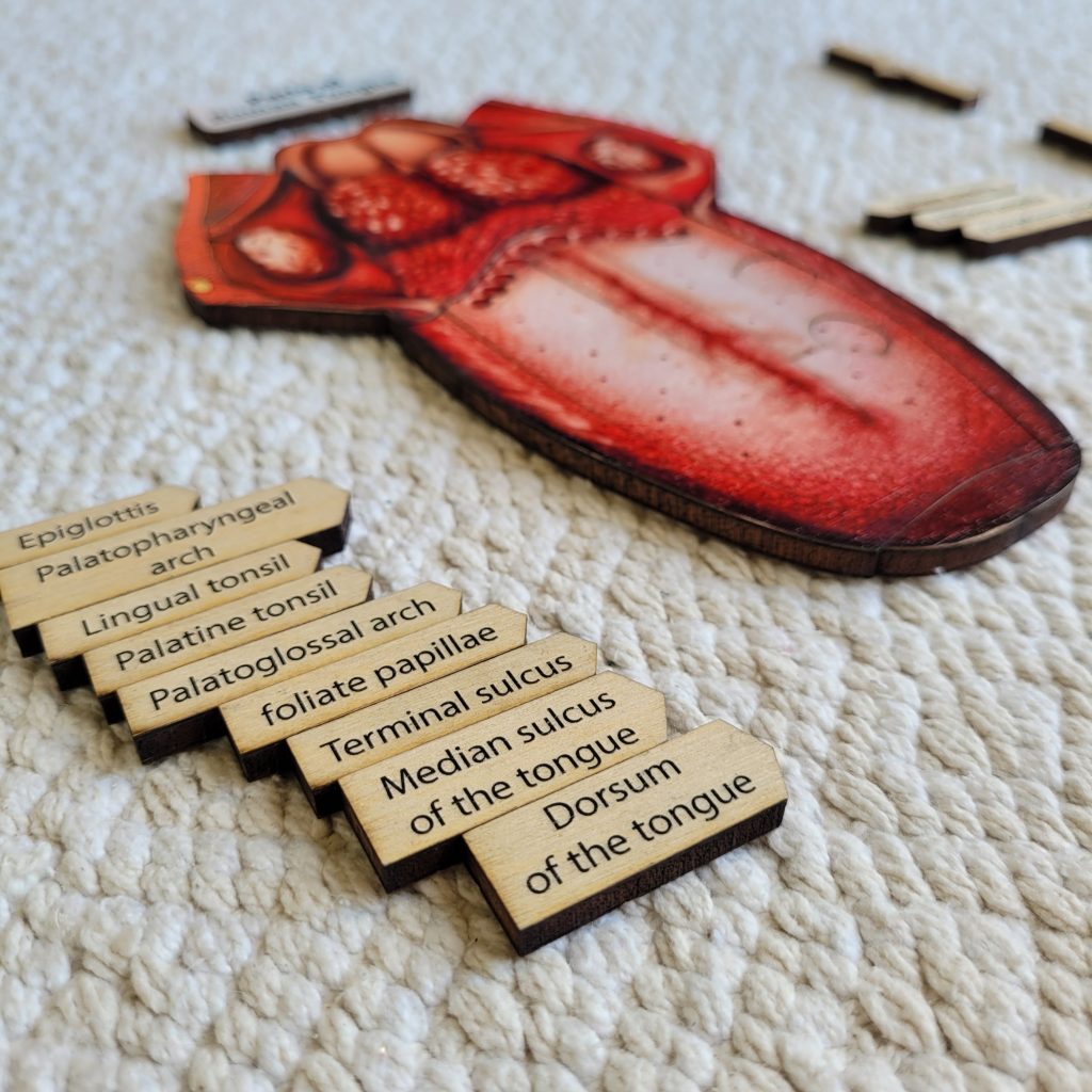 Montessori Puzzles