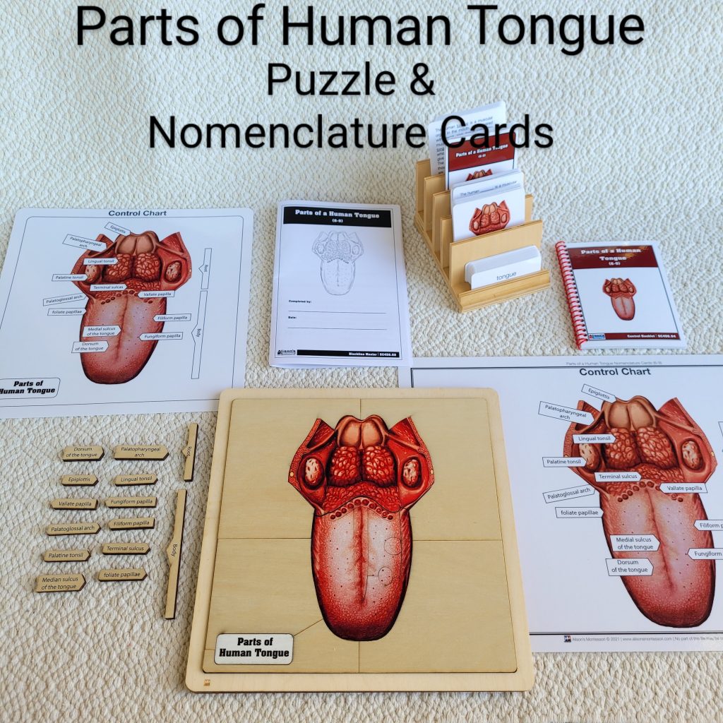 Parts of the Human Tongue Puzzle Complete Set
