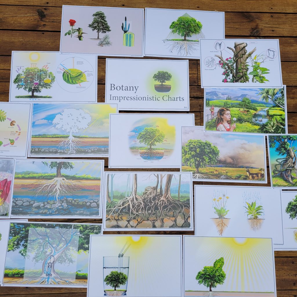 Botany Impressionistic Charts