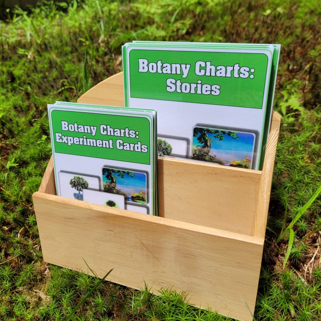 Botany Impressionistic Charts, Cards and Box
