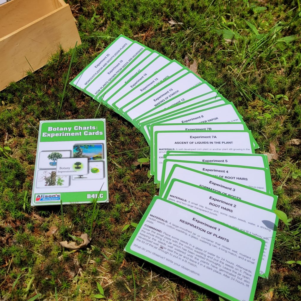 Botany Impressionistic Charts: Experiment Cards