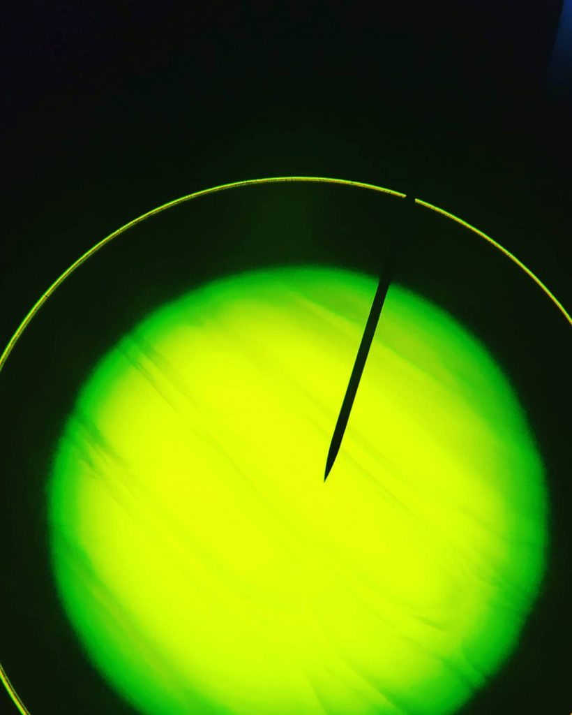 Parts of a Plant Cell