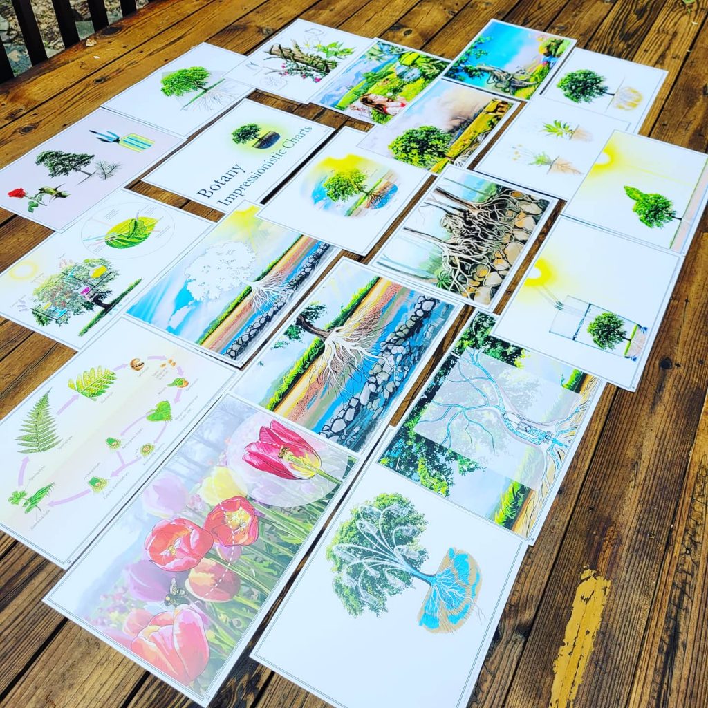 Botany Impressionistic Charts