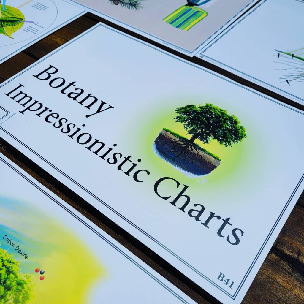 Botany Impressionistic Charts