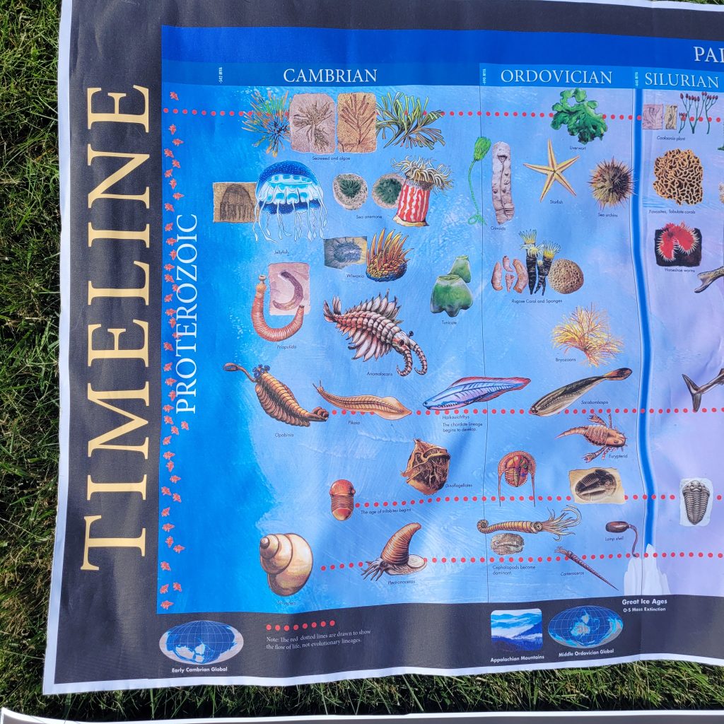Timeline of Life Control Charts 
