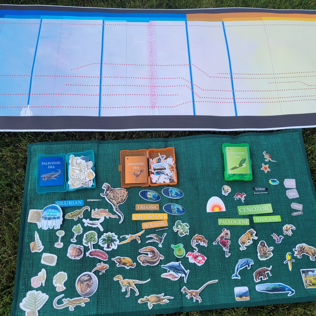 Timeline of Life Mute Chart & Decals