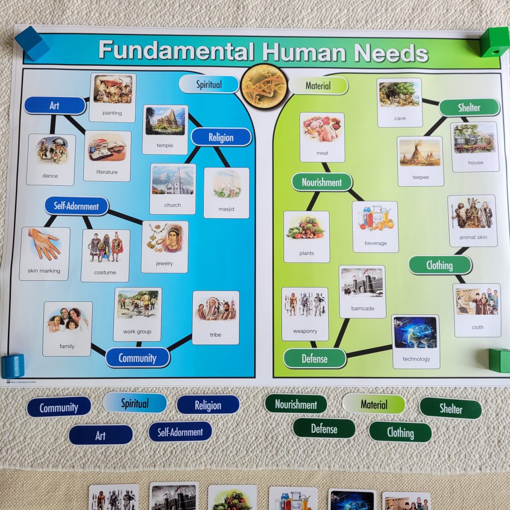Fundamental Human Needs