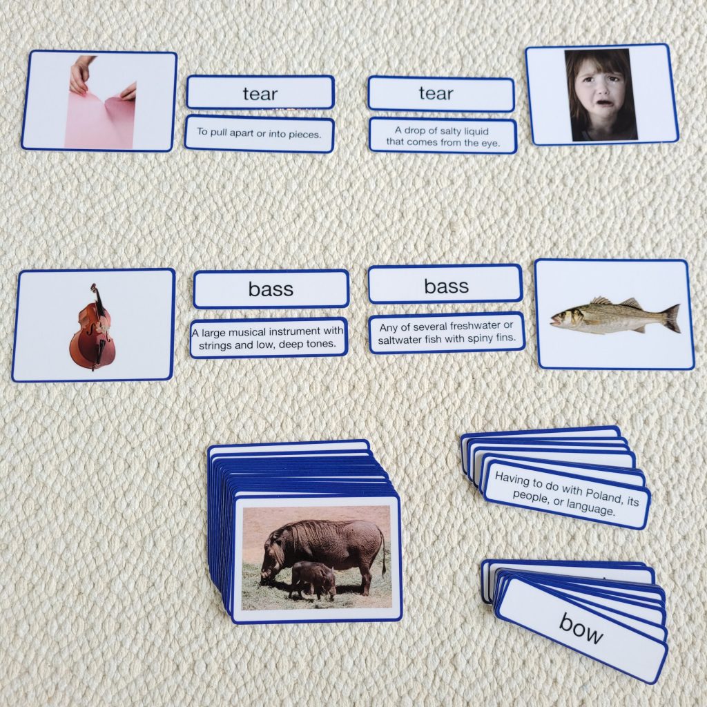 Montessori Word Study: Homographs