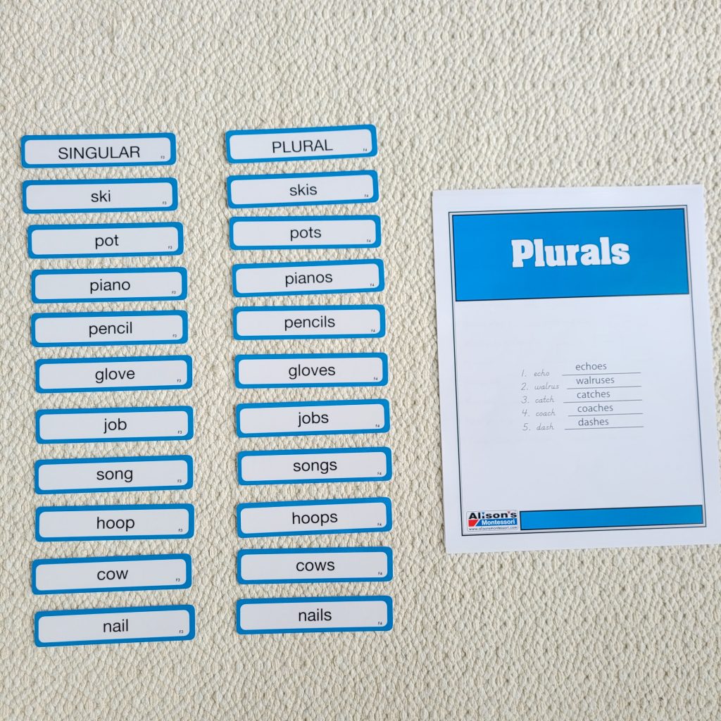 Montessori Word Study: Plurals