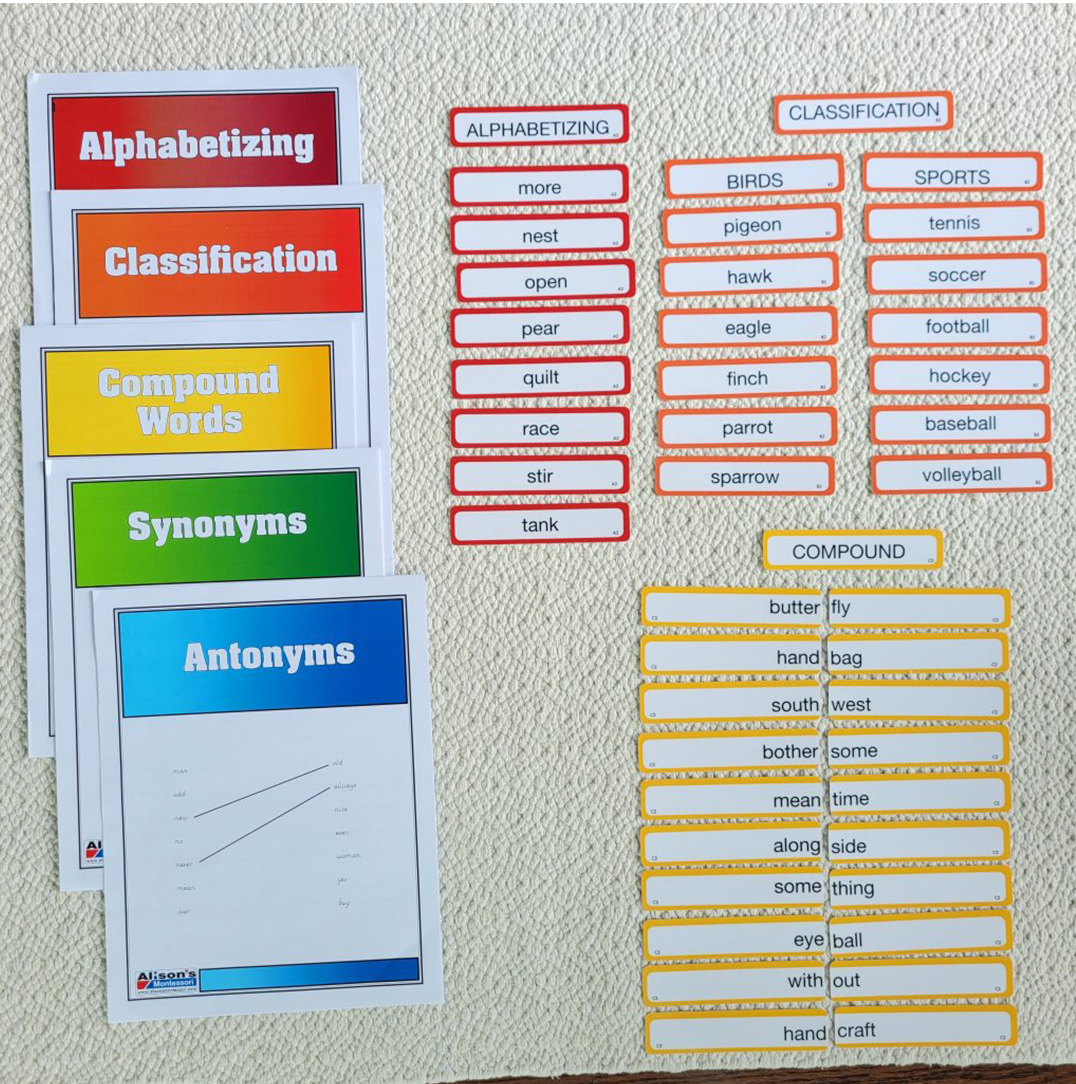 Montessori Word Study