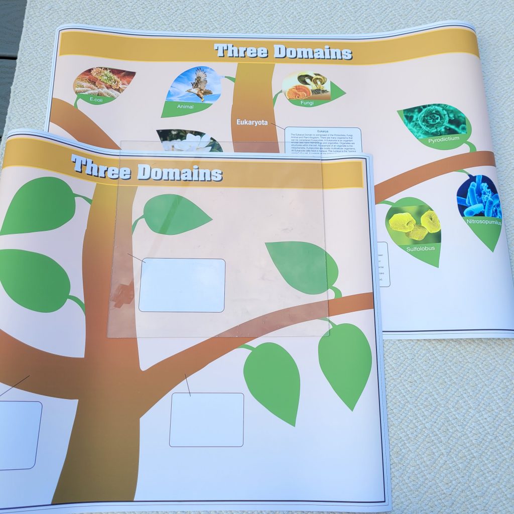 Science Charts: Three Domains of Life
