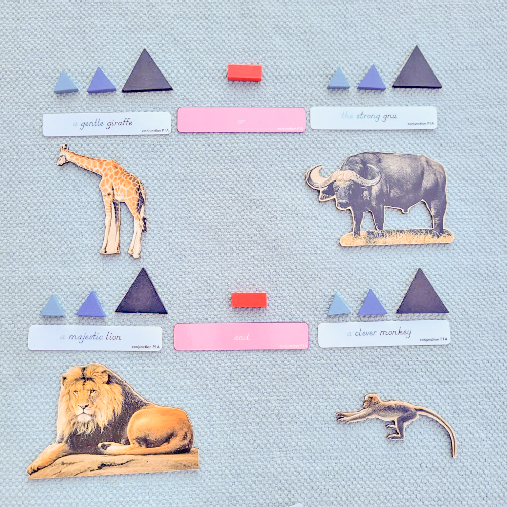 Function of Words: Cutouts