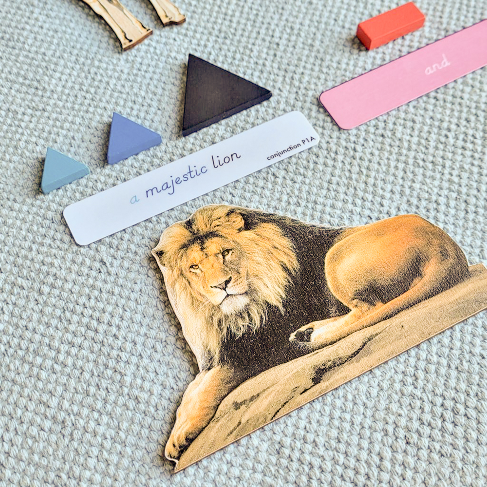 Function of Words: Safari (6-9)