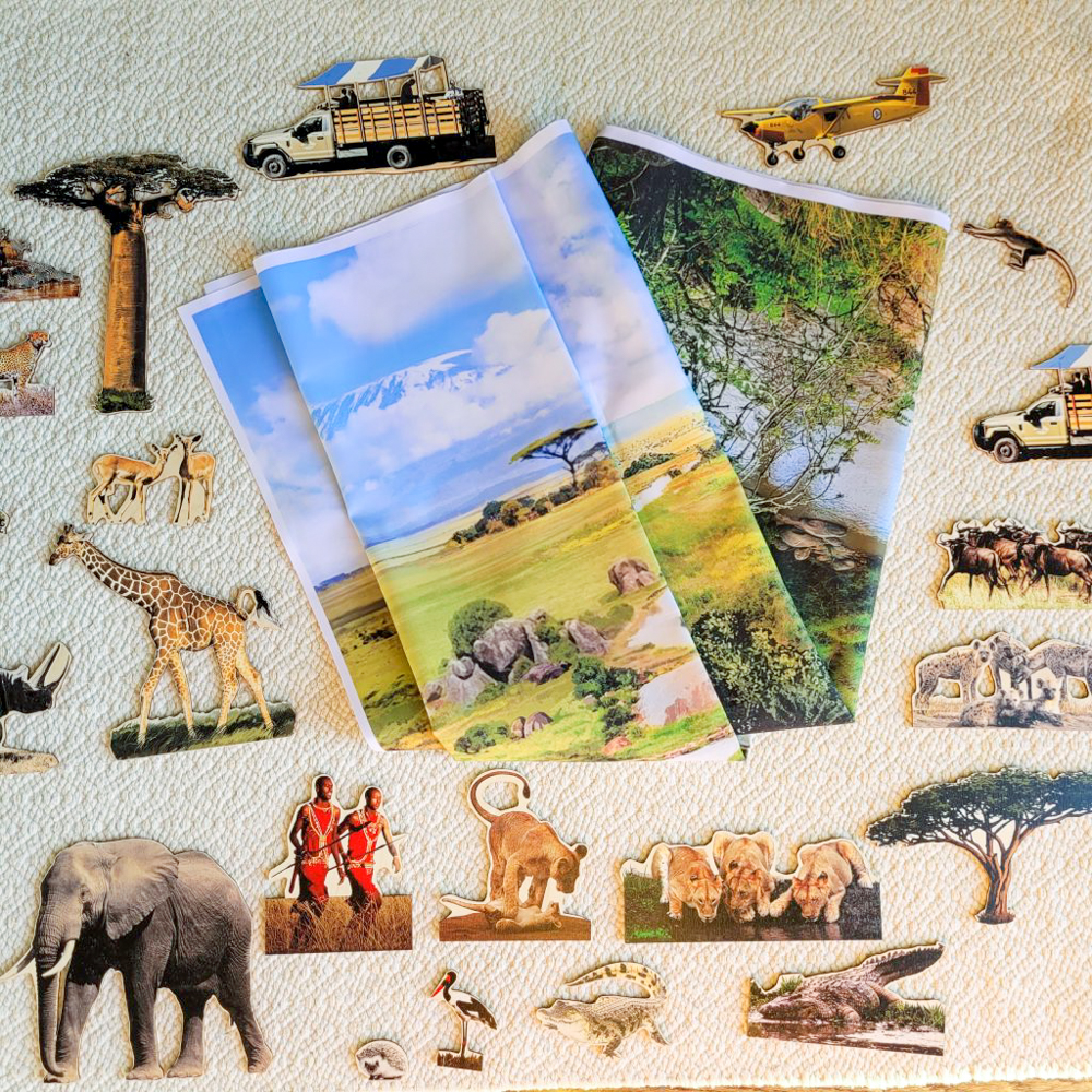 Function of Words: Safari (6-9) - Alison's Montessori Blog