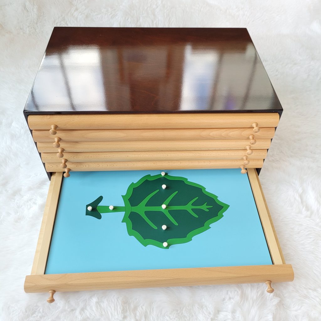 Botany Leaf Cabinet
