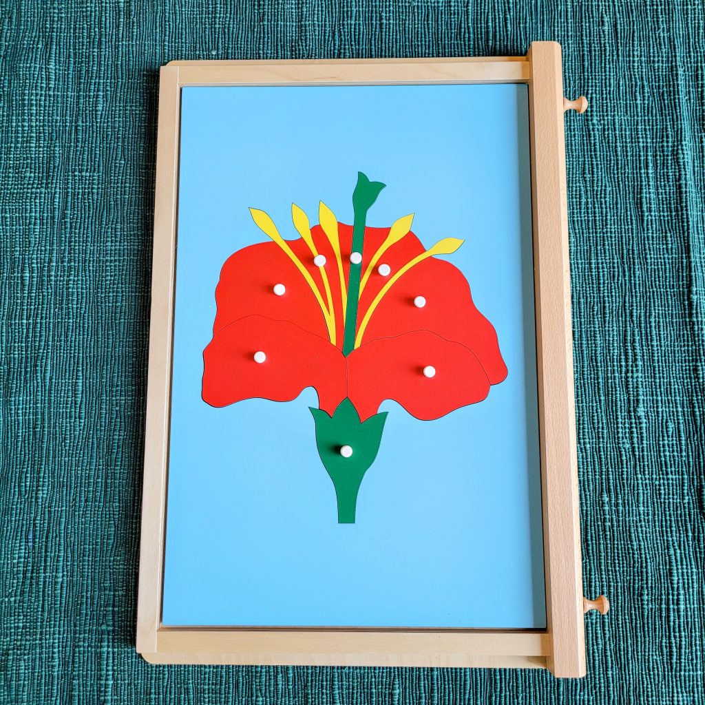 Montessori Flower Puzzle