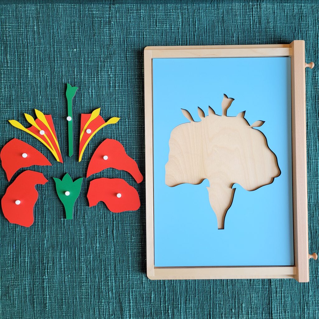 Montessori Flower Puzzle