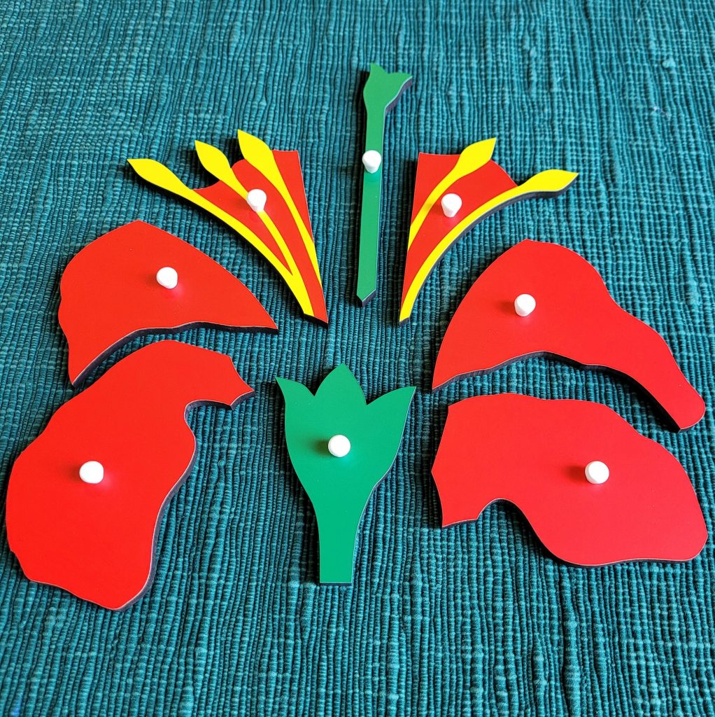 Montessori Flower Puzzle