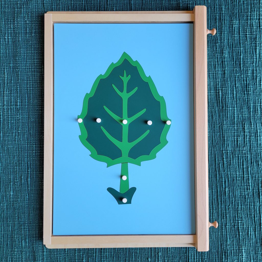 Montessori Leaf Puzzle