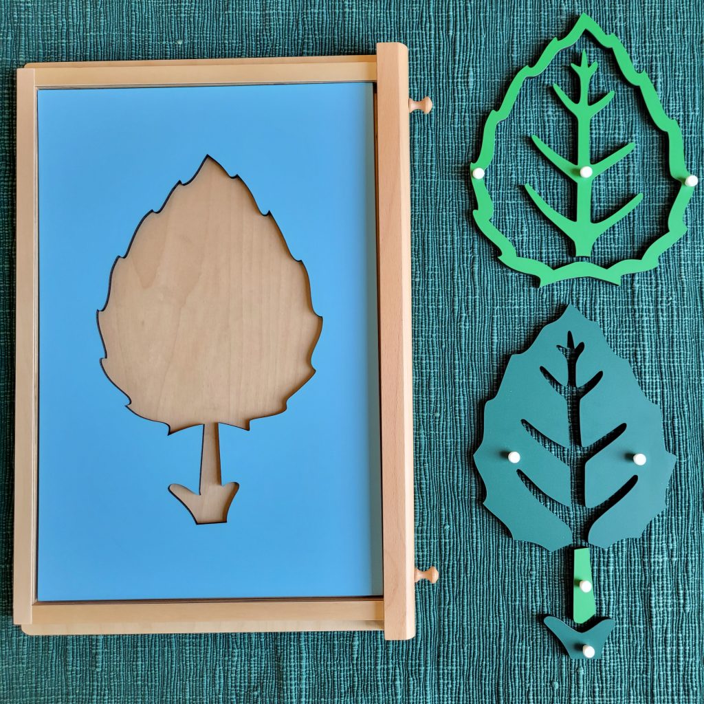 Montessori Leaf Puzzle