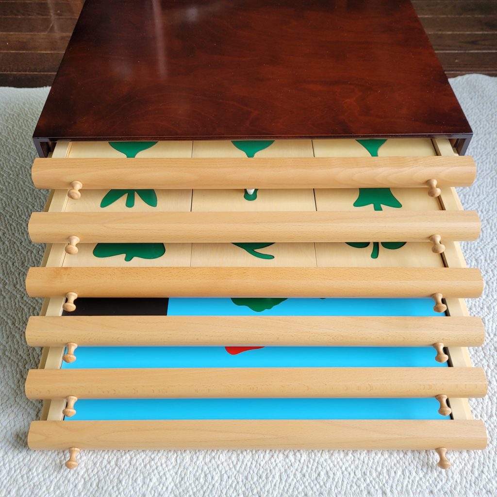 Montessori Botany Leaf Cabinet