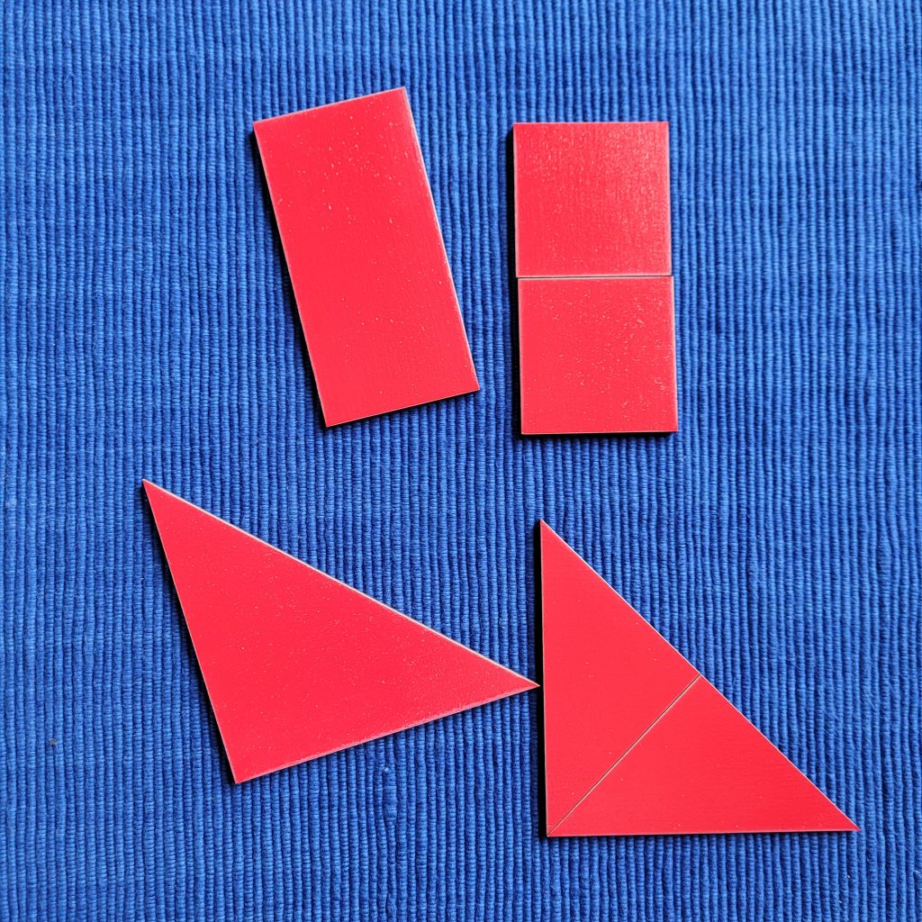 1 Shape Superimposed on 2 Shapes are Congruent Shapes