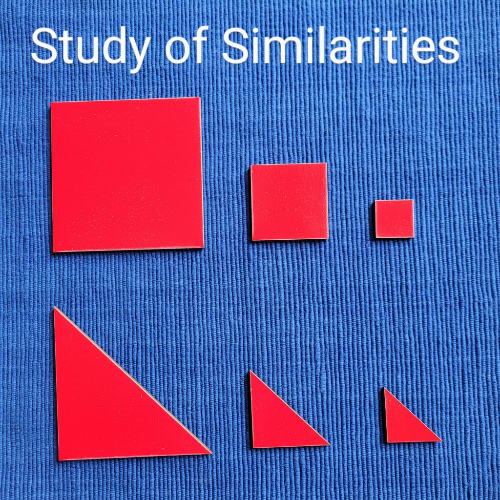 Study of Similarities