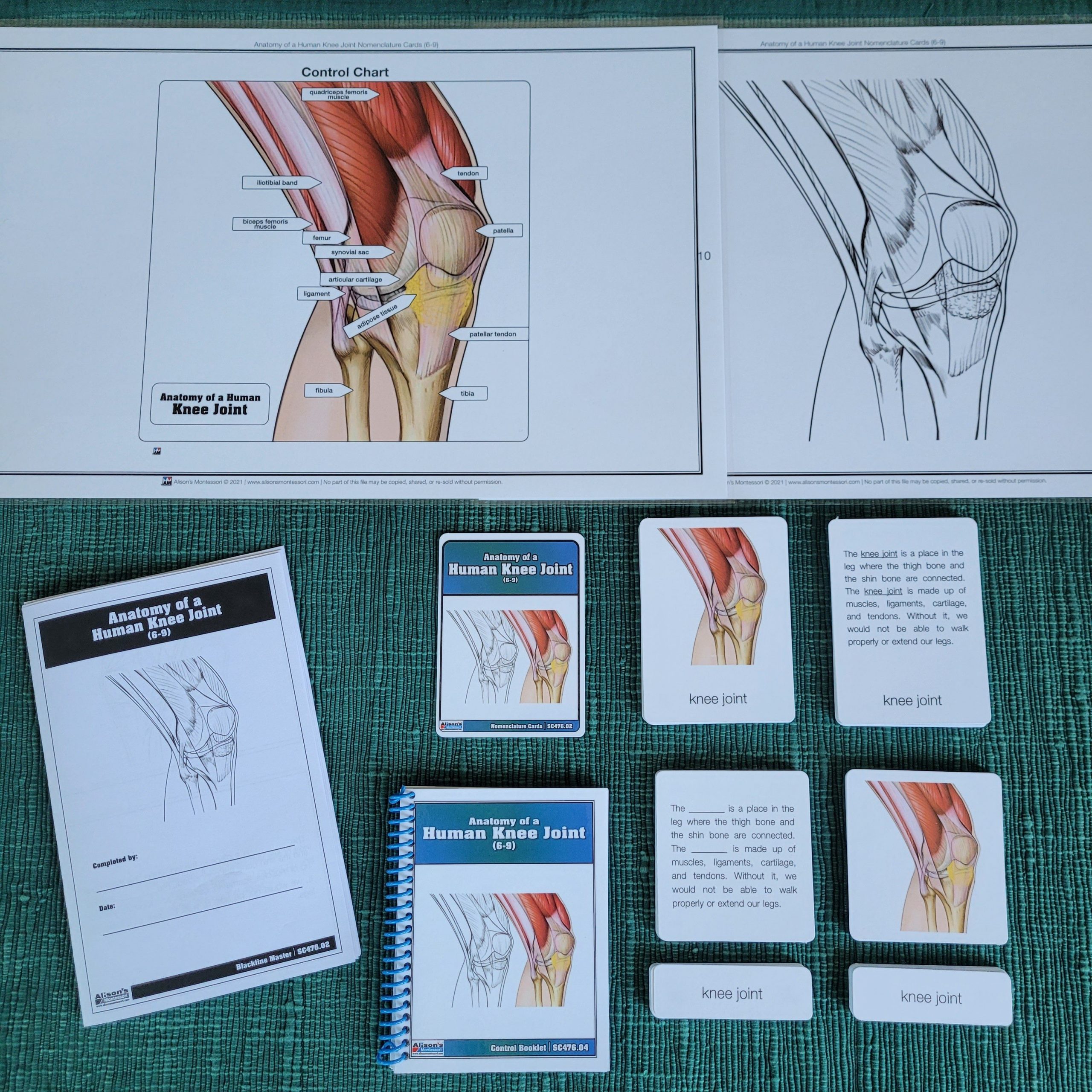 Montessori Science Curriculum