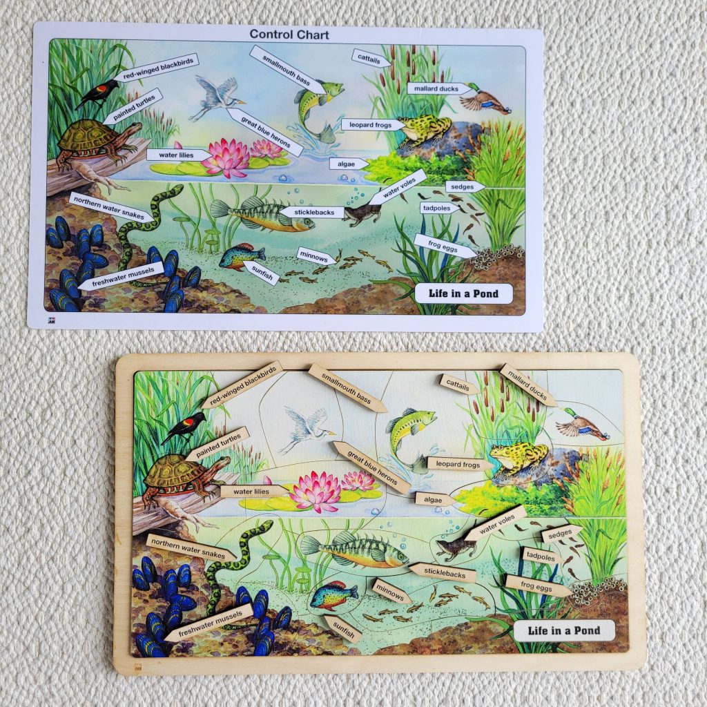 Montessori Puzzles