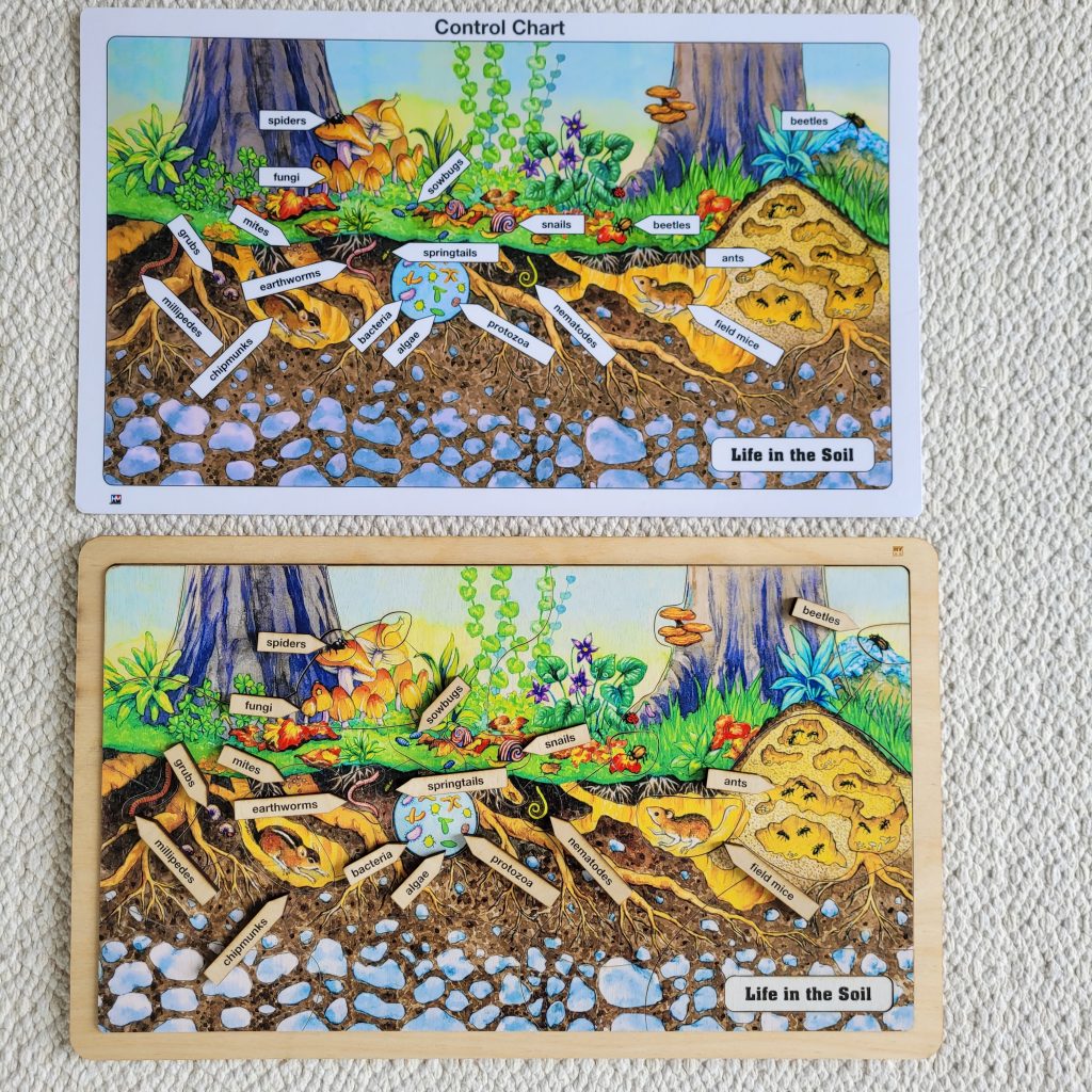 Montessori Puzzles