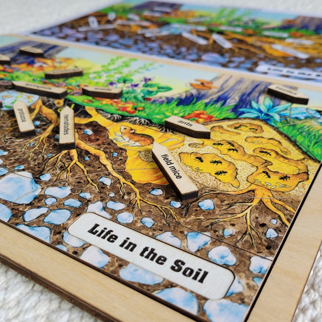 Life in the Soil