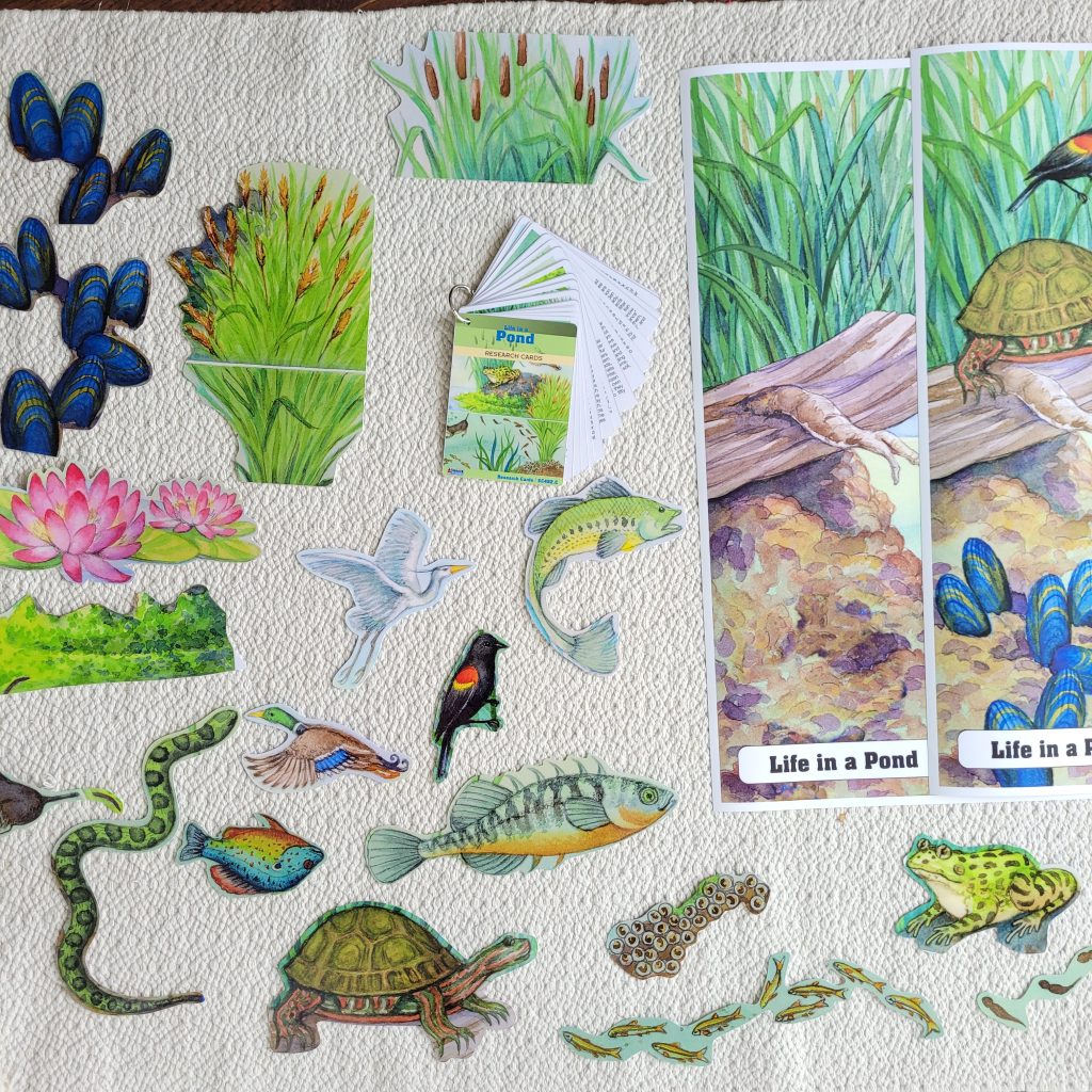 Montessori Biome Curriculum
