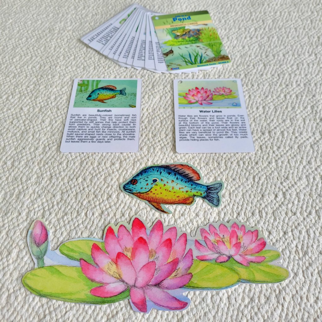 Pond Animals