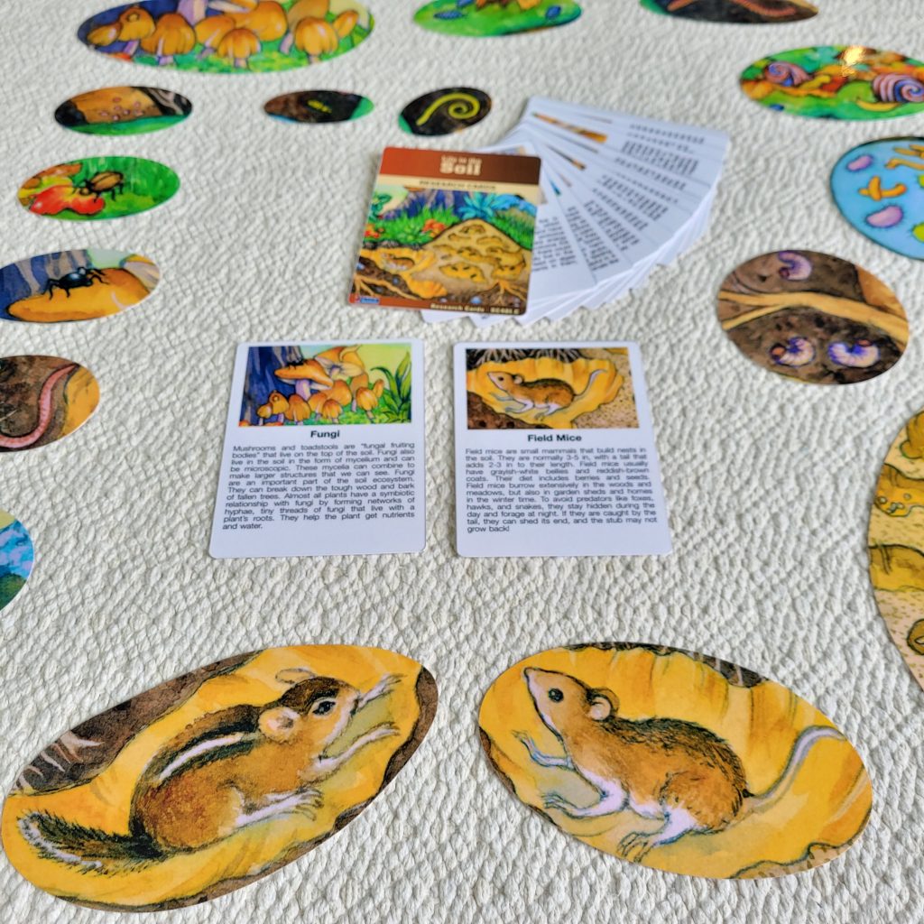Soil Animals