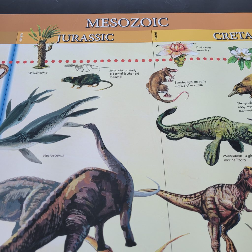 Montessori Curriculum Materials