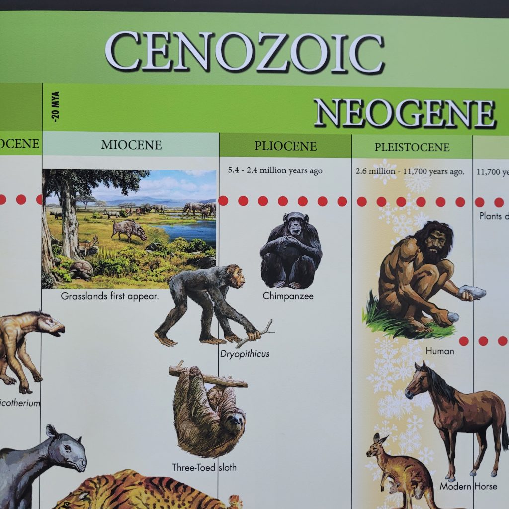 Montessori Curriculum Materials