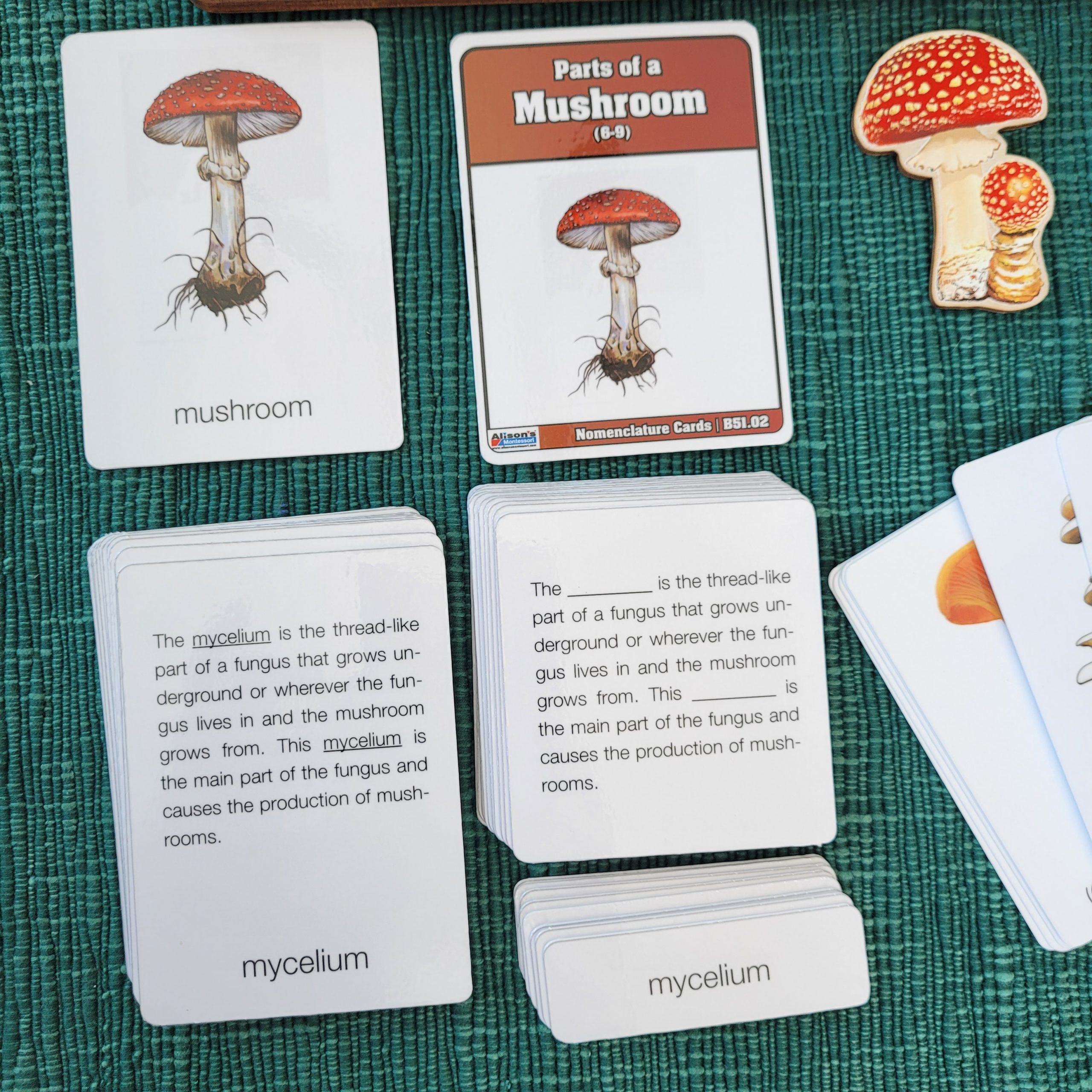 Montessori Curriculum Materials