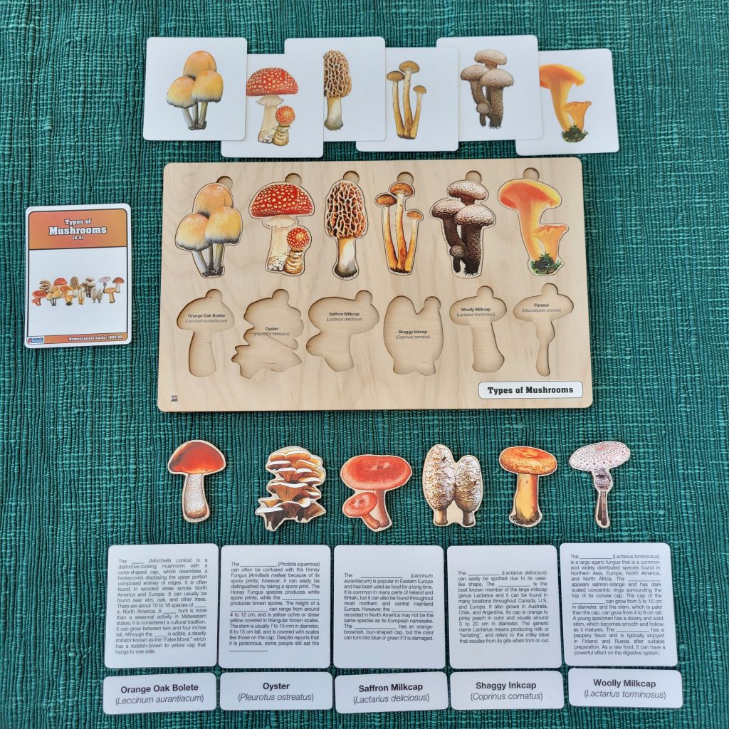 Montessori Printed Materials