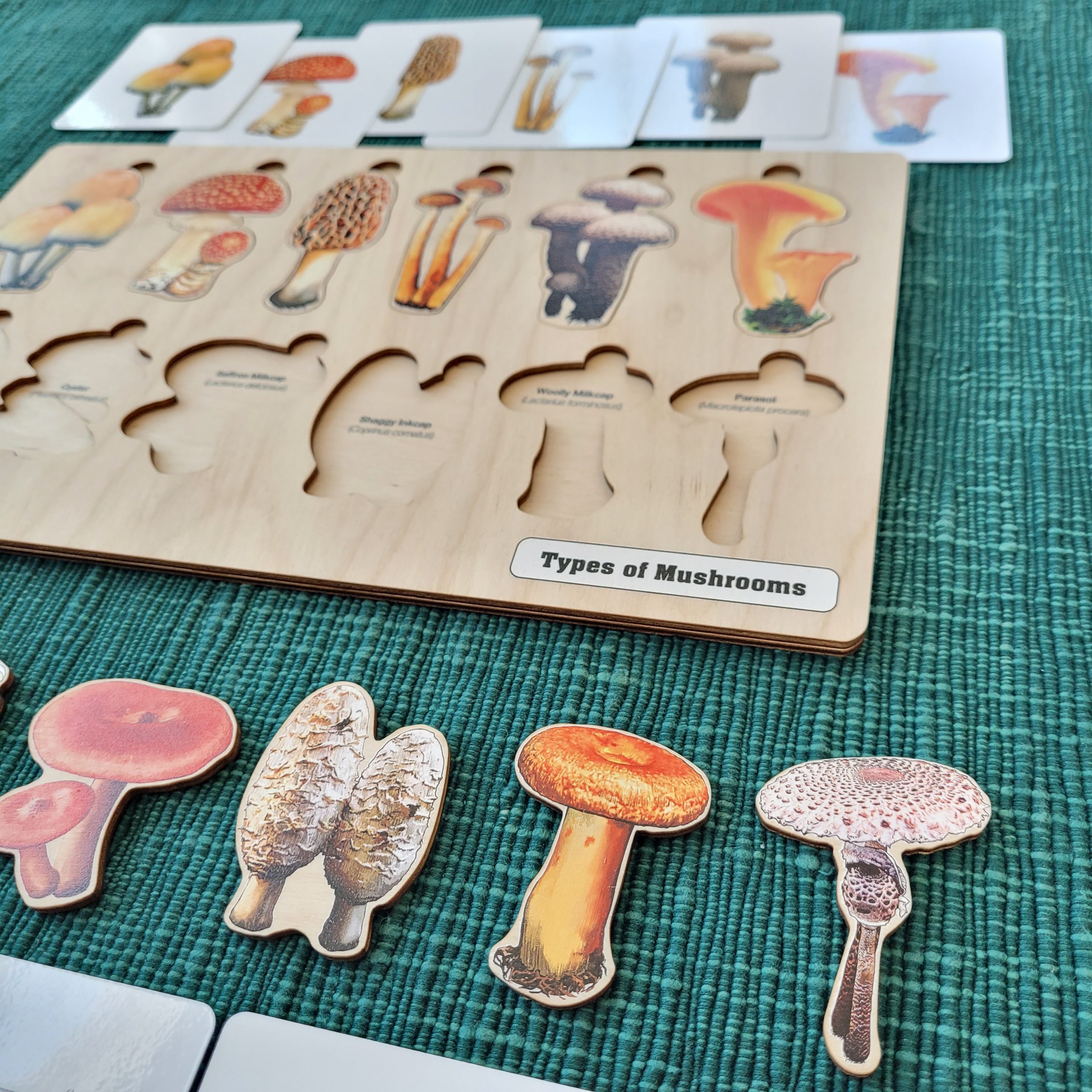 mushrooms