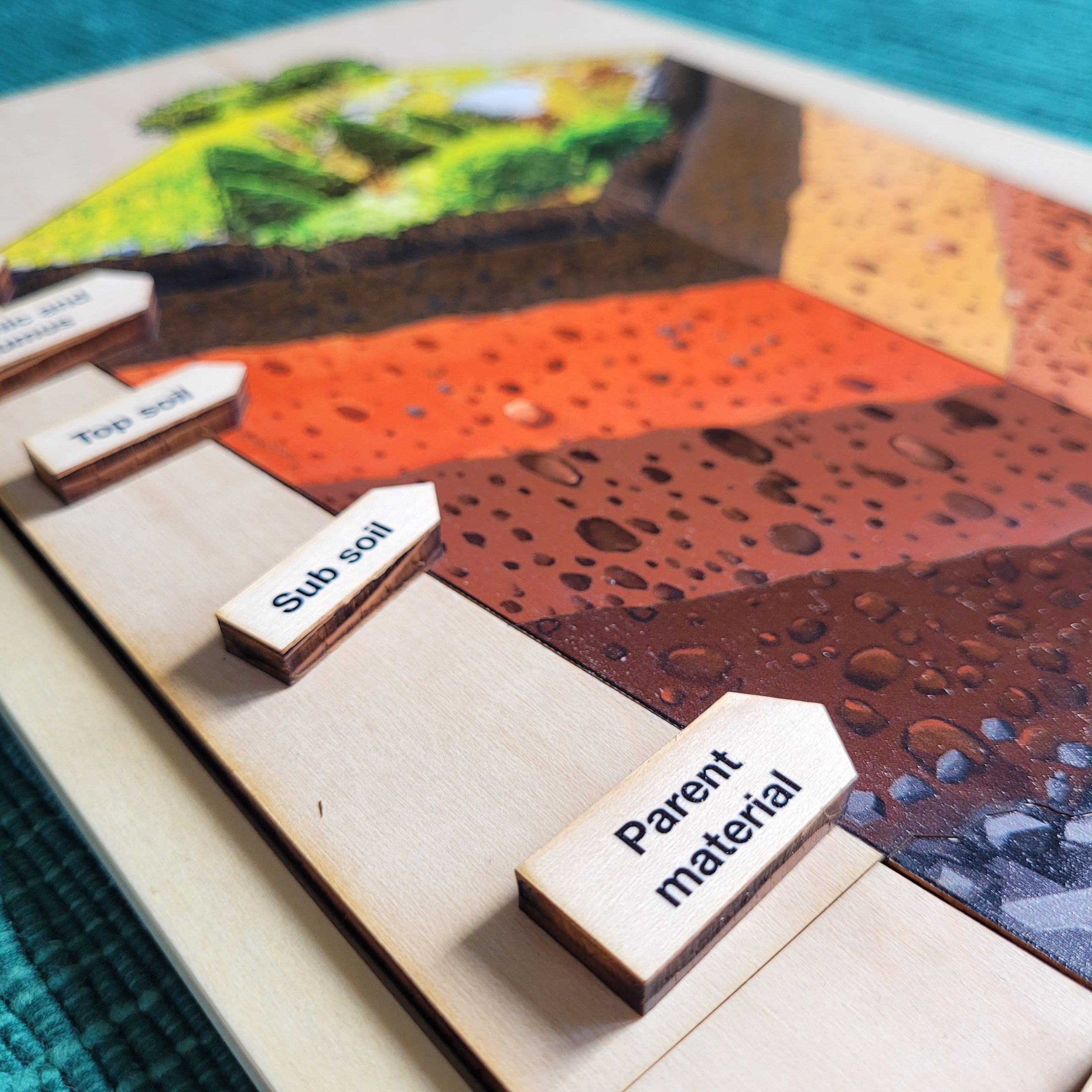 Montessori Puzzles