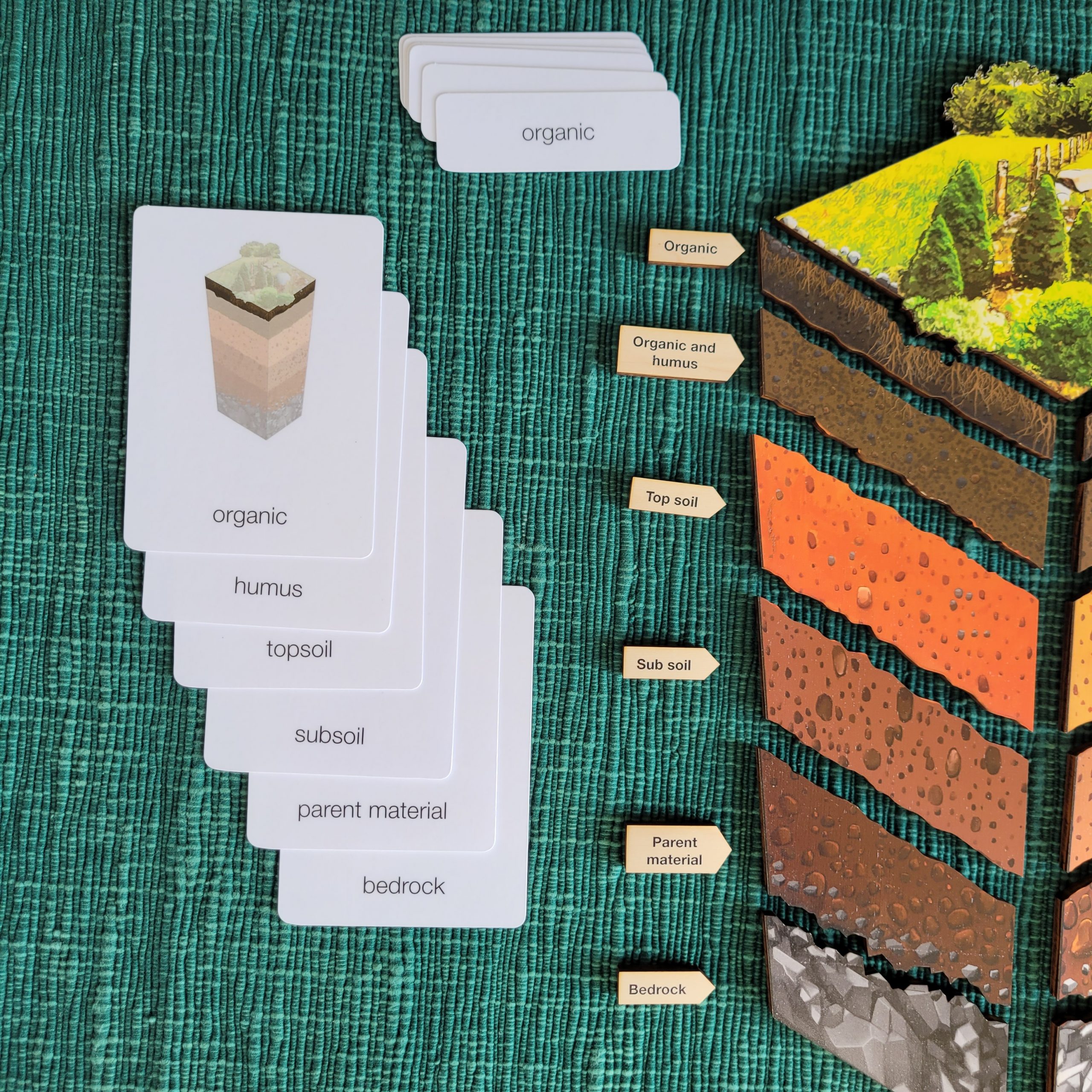 Layers of Soil