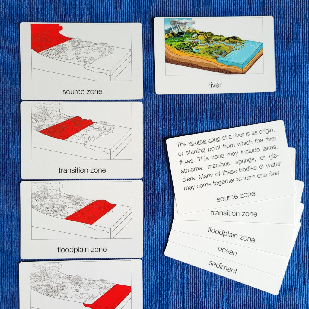 Montessori Three-Part Cards