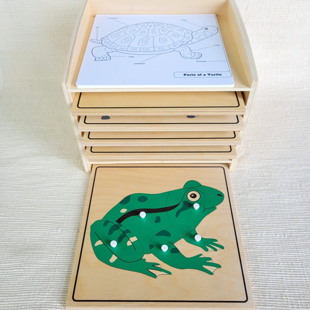 The Study of Vertebrate Animals