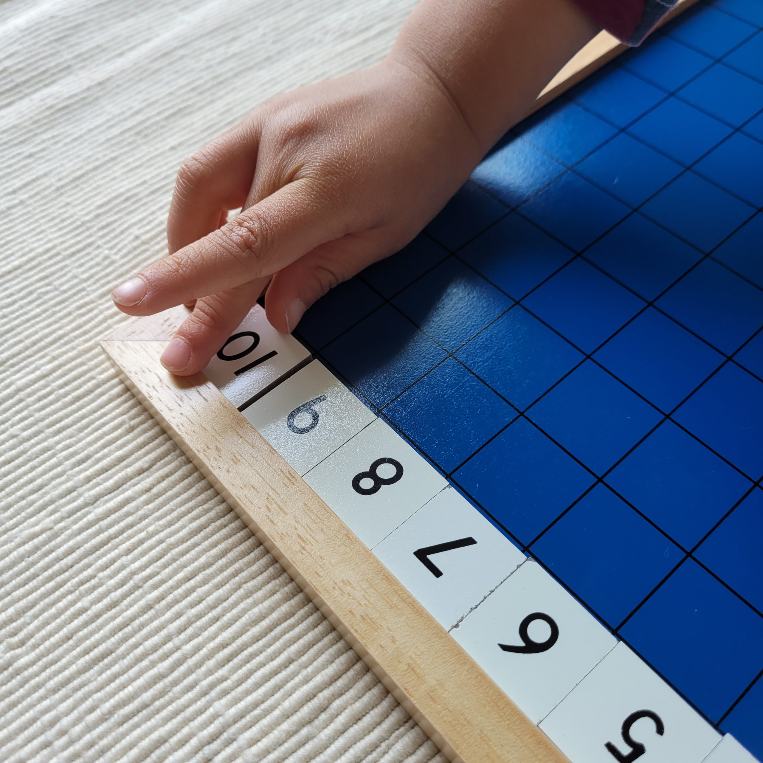Montessori Hundred Board